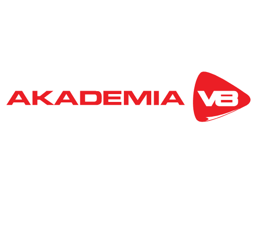 v8